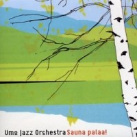 sauna-palaa