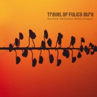 travel-of-fulica-atra