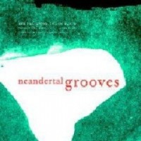 neandertal-grooves
