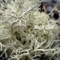 hautullin