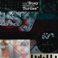 busy-turtles