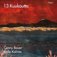 13-kuukautta
