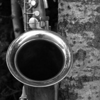 pepa-paivinen-quintet