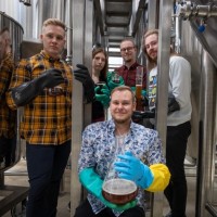 odd-brew
