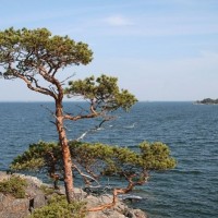 keikka